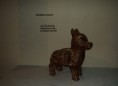 /album/fotogaleria-oferta/burro-chico-jpg/
